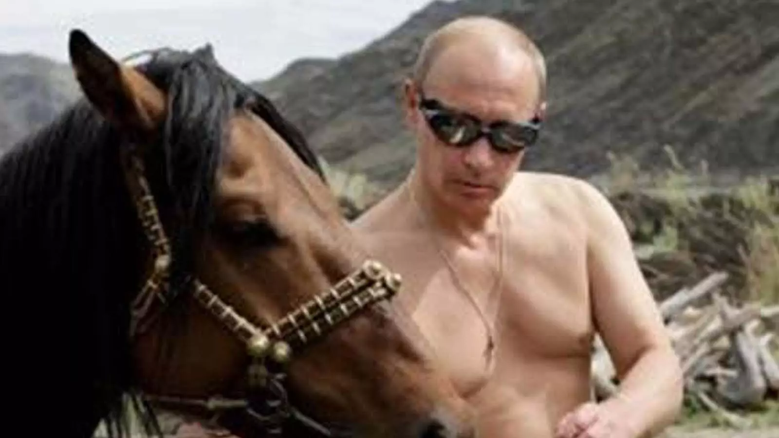 Russias sexiest man Vladimir Putin
