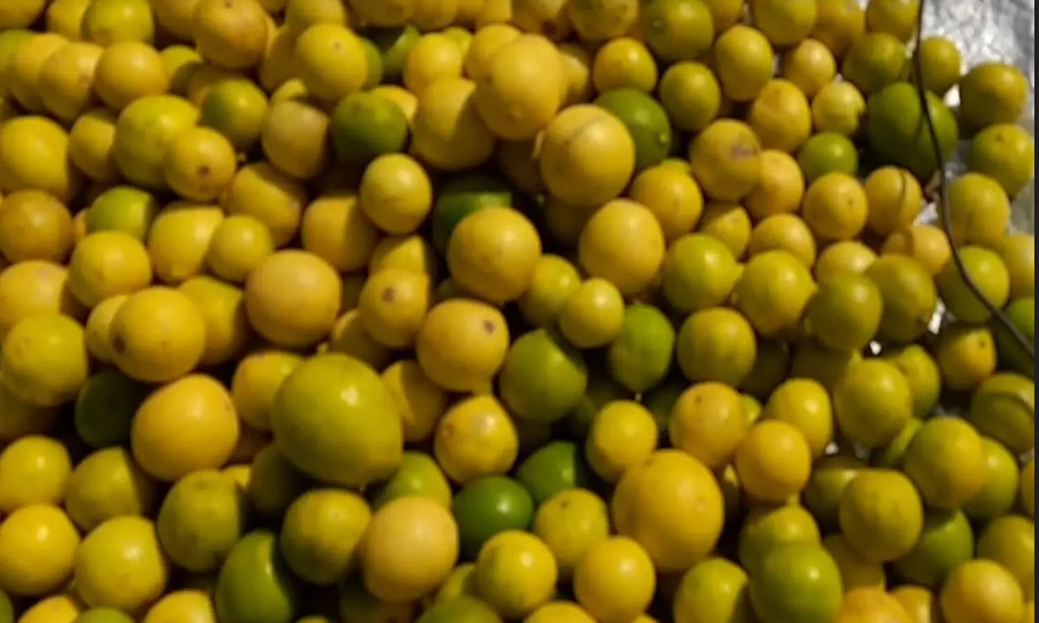 due to corona lemon rate increases in ghazipur market