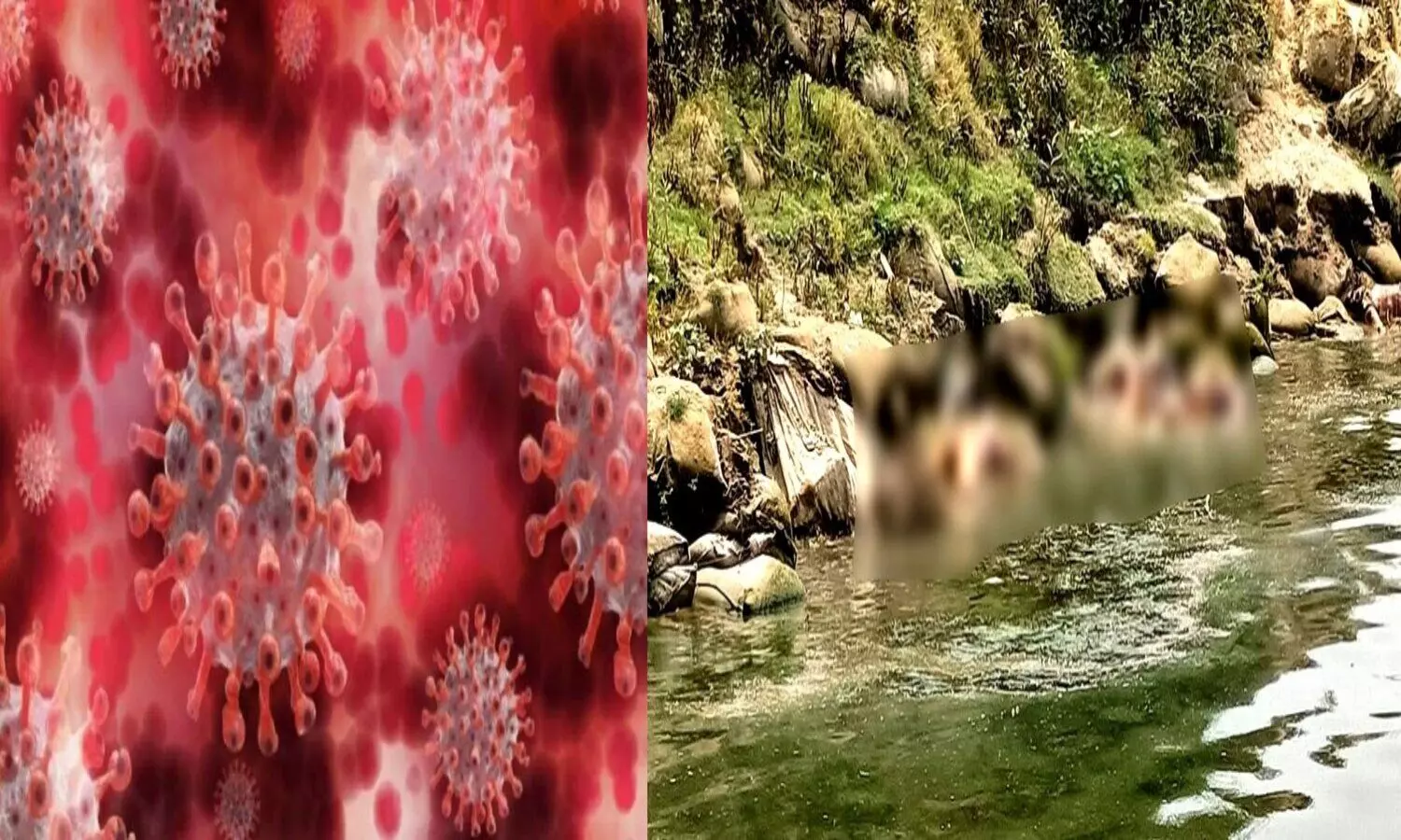 corona infection spread from water