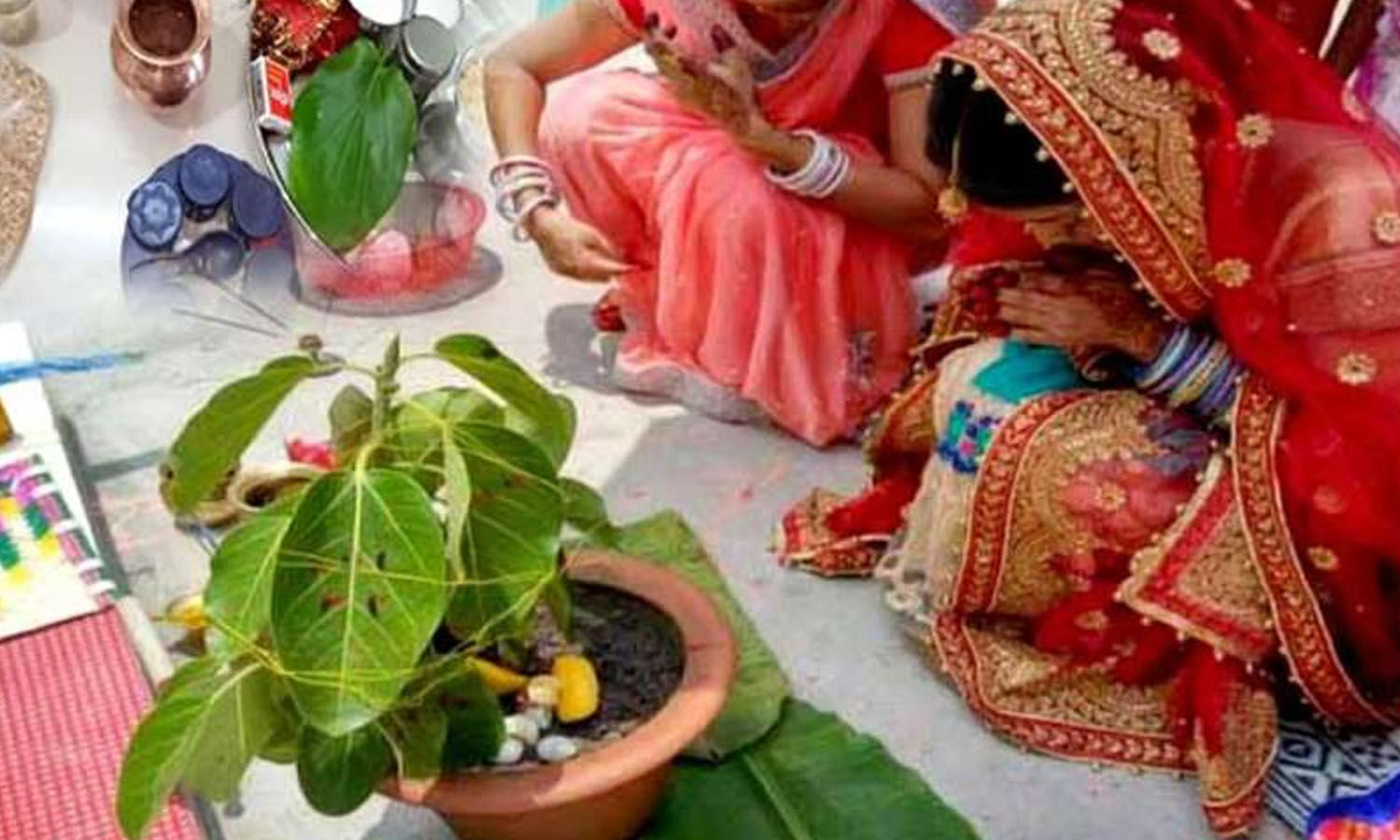 Vat Savitri Puja Vidhi । Vat Savitri Vrat Samagri । Vat Savitri Vrat Mantra। वट वृक्ष की पूजा 2481