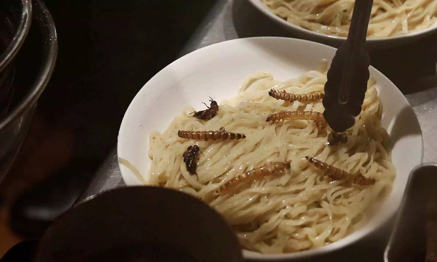 Insect Food Viet S Menu Card Features Prawn Salad Yellow Mealworms Crunchy Worms With Vegetables And Locusts Dressed In Chocolate च न क ब द अब फ र स क ल ग ख रह क ड मक ड र स ट र ट पर स