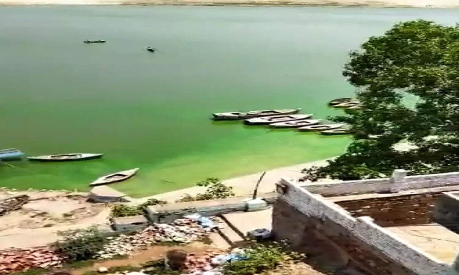 Varanasi News: गंगा का पानी हरा क्यों हुआ, वैज्ञानिकों ने बताई वजह, हालात खराब होने की जताई आशंका
