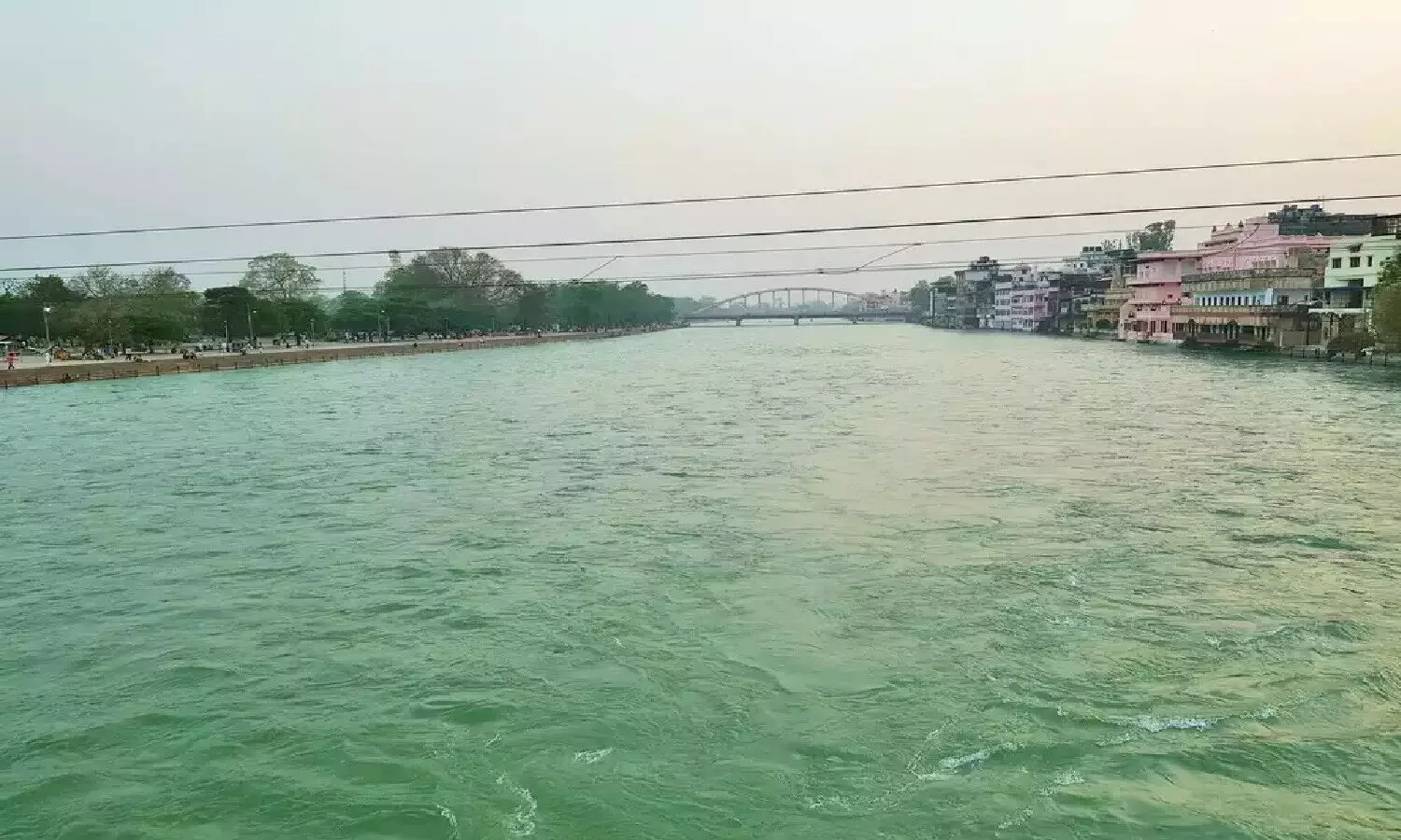 Varanasi News: गंगा का पानी हरा क्यों हुआ, वैज्ञानिकों ने बताई वजह, हालात खराब होने की जताई आशंका