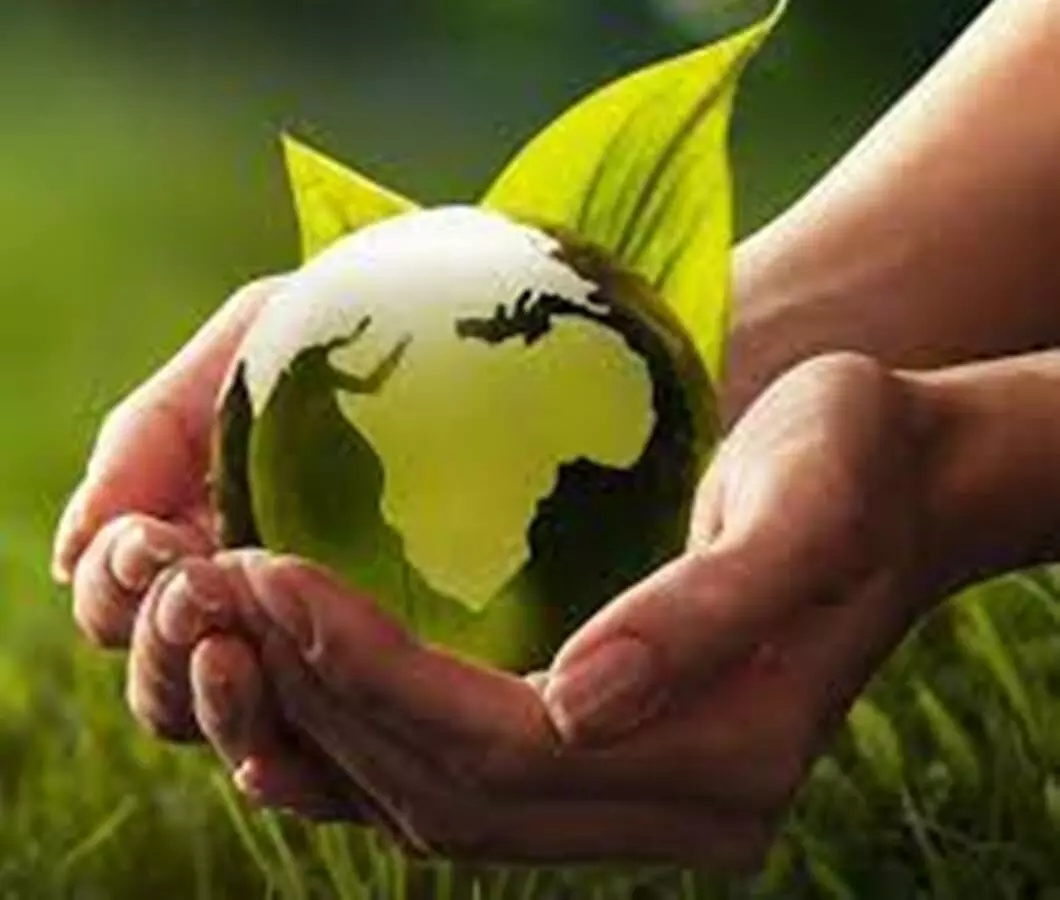 5 जून विश्व पर्यावरण दिवस: अगर पर्यावरण को बचाना है तो नीति है जरूरी