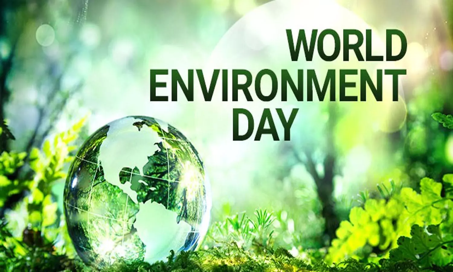 World Environment Day Theme