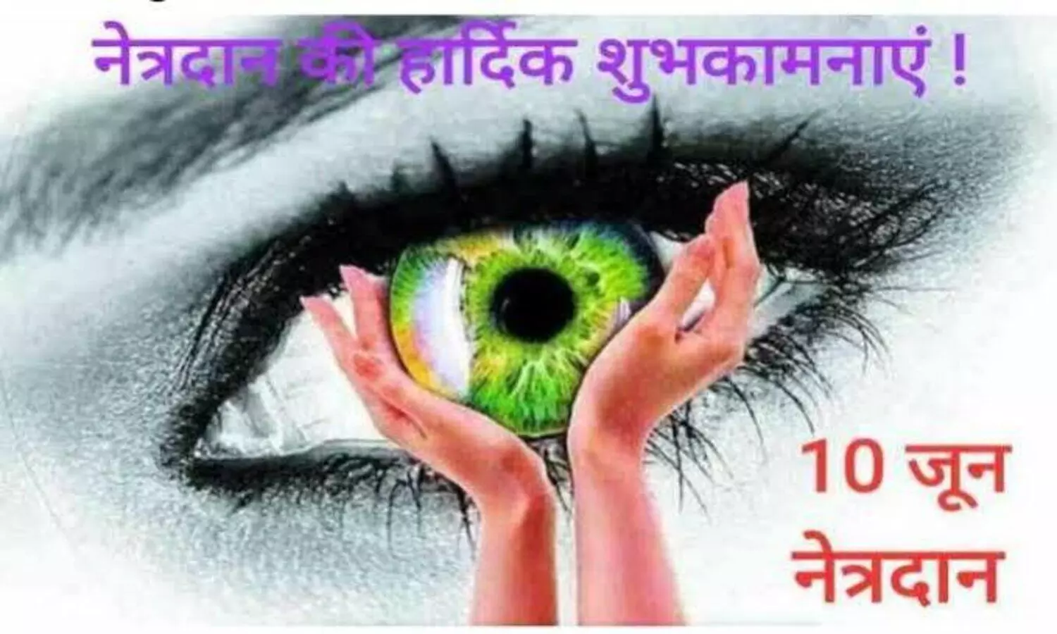 world eye donation day celebrated on 10th june