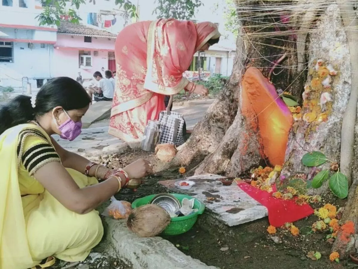 Vat Savitri Vrat 2021: अखंड सौभाग्य की प्राप्ती के लिए महिलाओं ने की वट वृक्ष की पूजा
