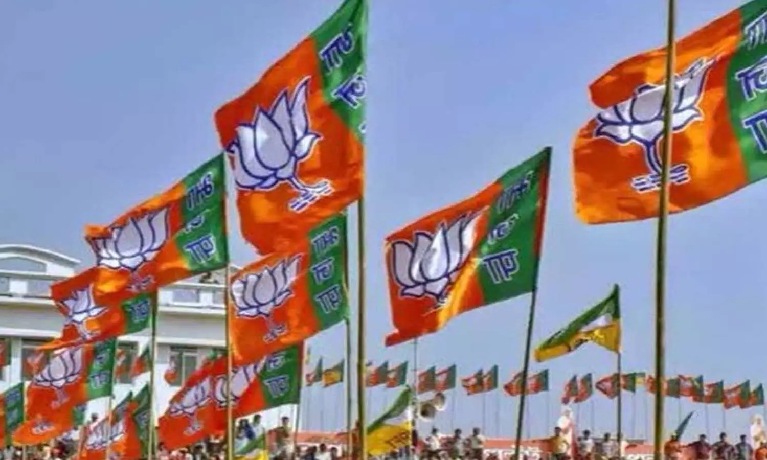 Bharatiya Janata Party and Zilla Panchayat Elections