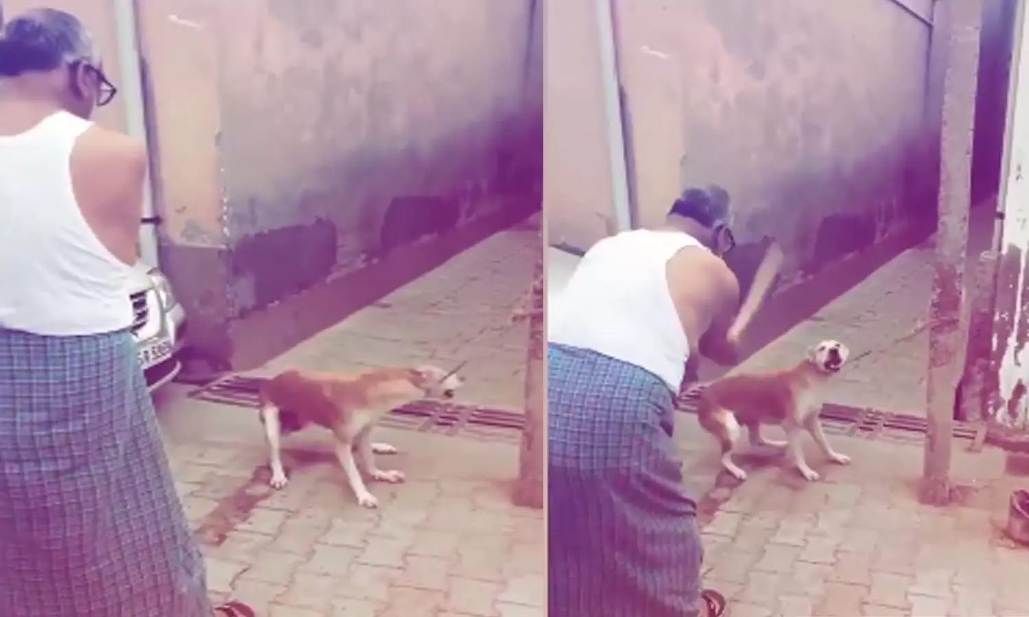 Bulandshahr Viral video: अधेड़ ने कुत्ते को खंभे से बांध कर पीटा, वीडियो वायरल