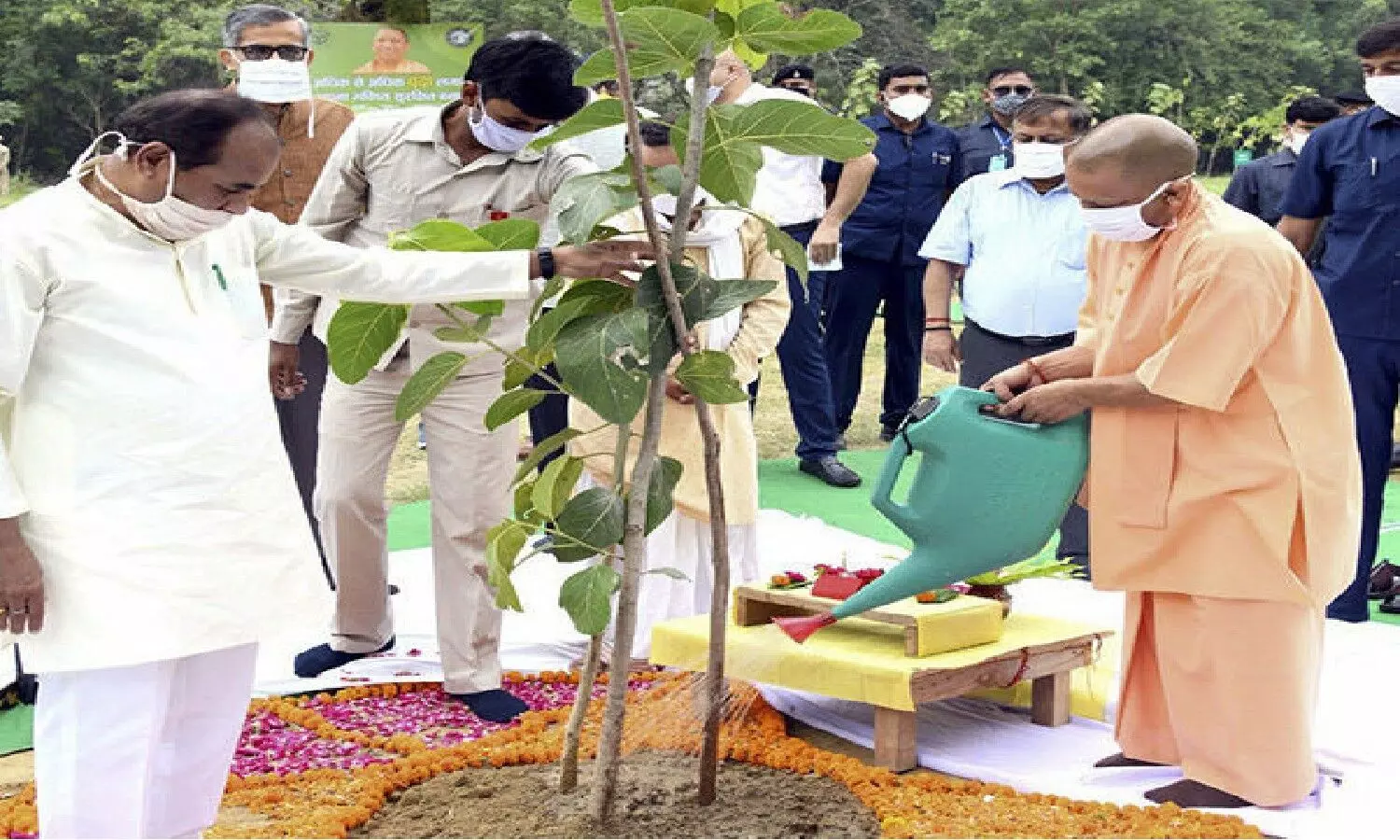 Yogi government has set a target of planting 30 crore trees
