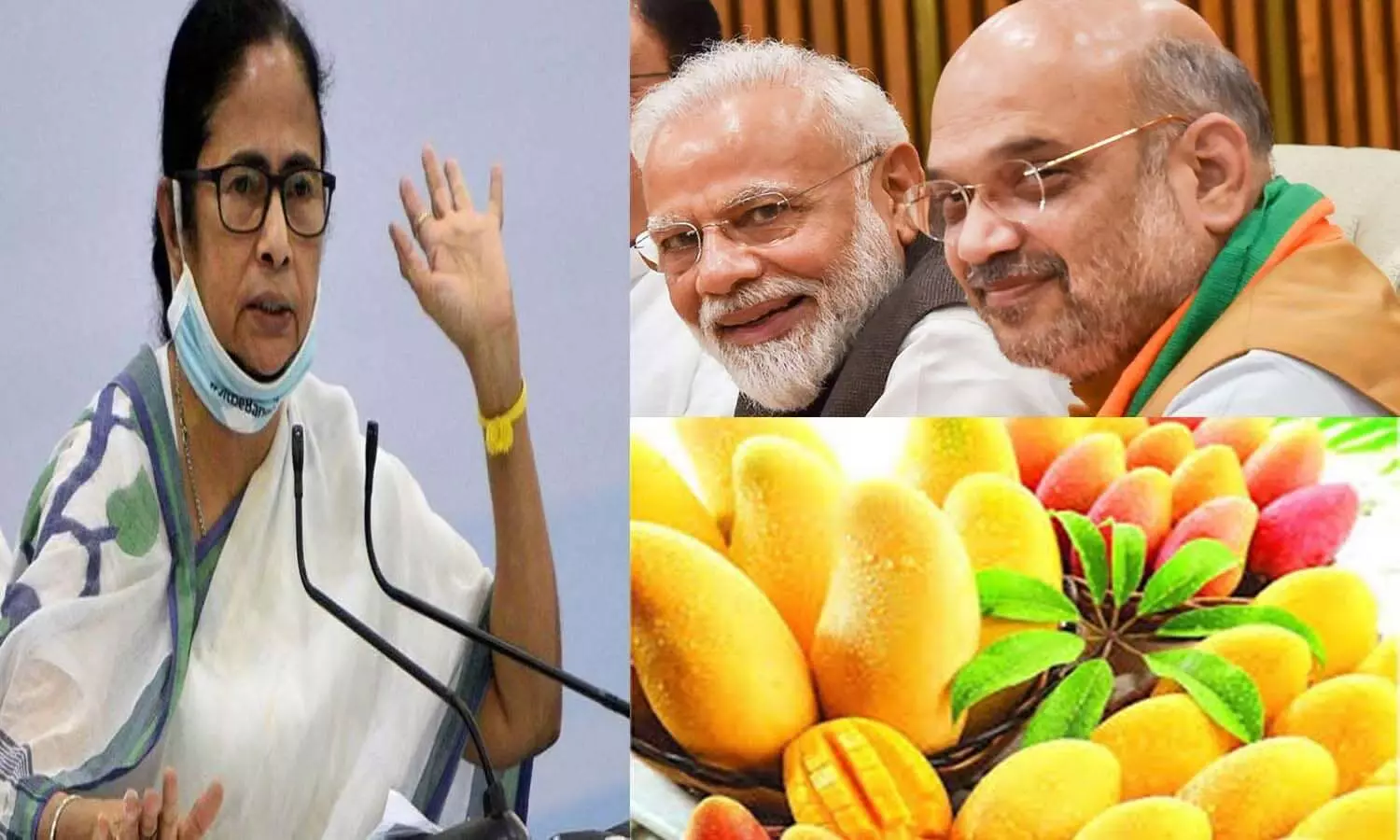 Chief Minister Mamata Banerjee has sent a gift of sweet mangoes to Prime Minister Narendra Modi and Union Home Minister Amit Shah.