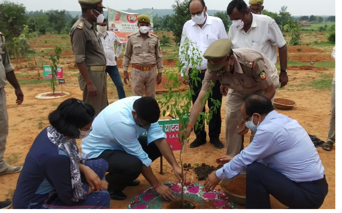 Mirzapur News: वन महोत्सव पर करोड़ों पौधे लगाने का लक्ष्य, अधिकारियों से लेकर मंत्री ने भी किया पौधरोपण