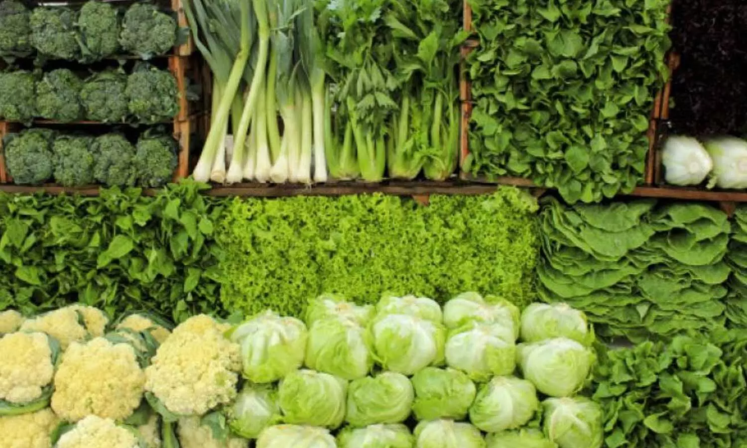 बारिश में हरी पत्तेदार सब्जियों से करें परहेज, हो सकती हैं बीमारियां