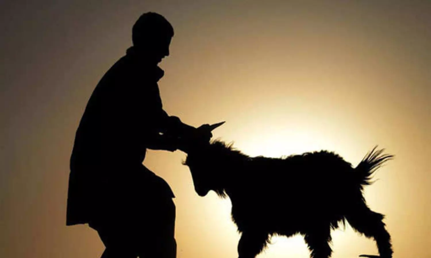 बकरीद पर जानवरों की कुर्बानी को लेकर सोशल मीडिया पर ट्रेंड कर रहा #BakraLivesMatter