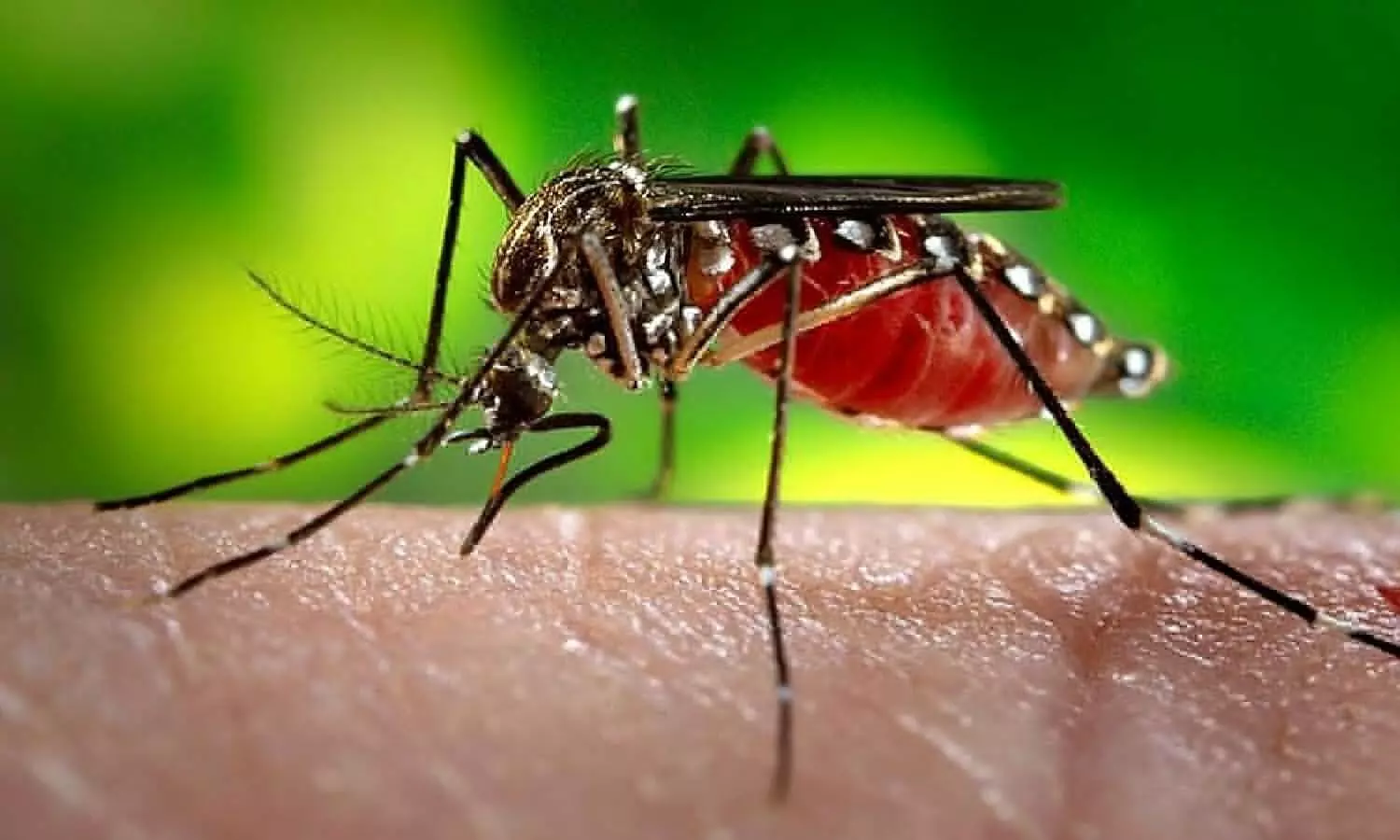 Zika Virus Kya hai