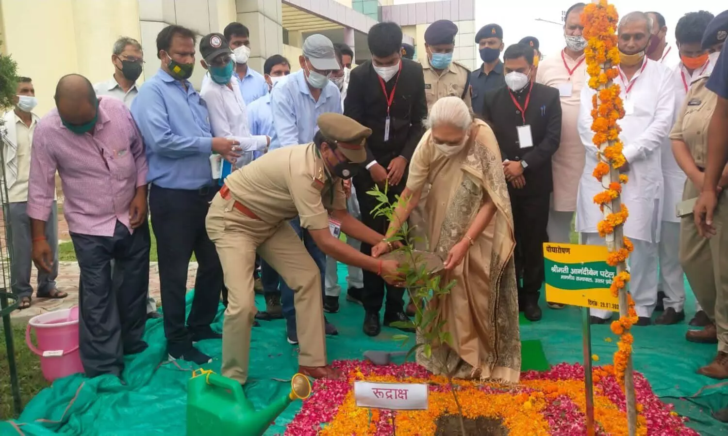 Plant a tree in Gail campus