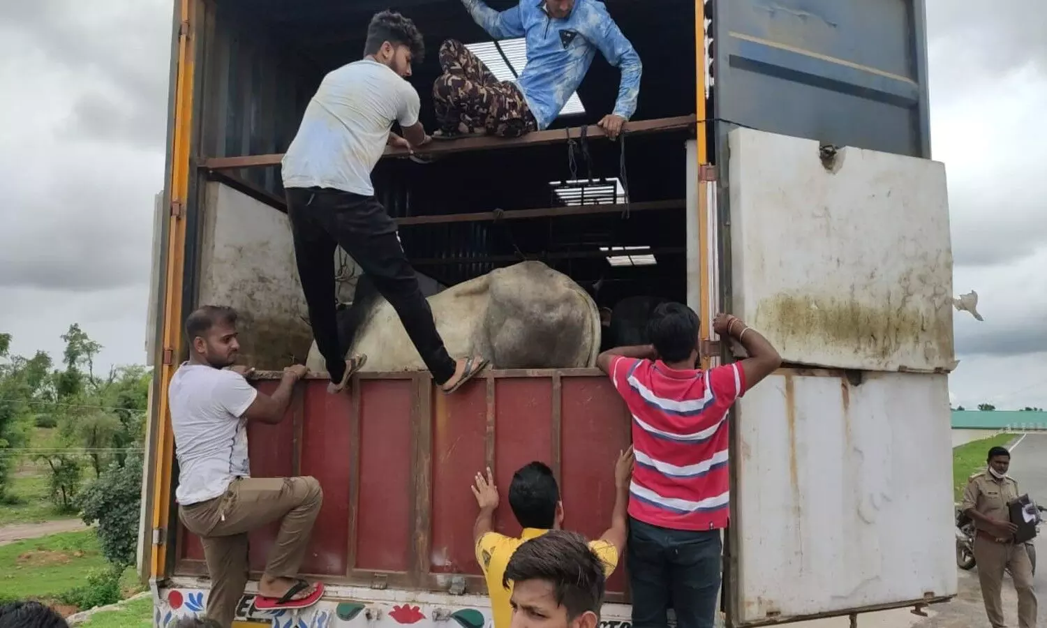 A truck full of cows was going from Rajasthan to Nagpur