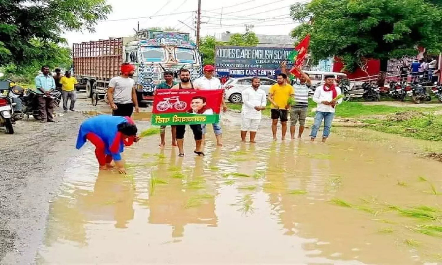 Sowing paddy crop on road