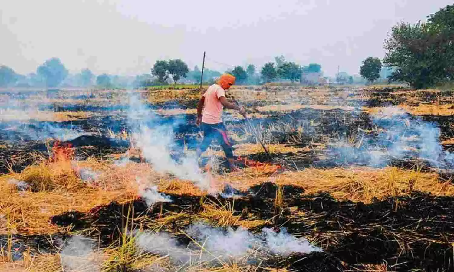 burning stubble