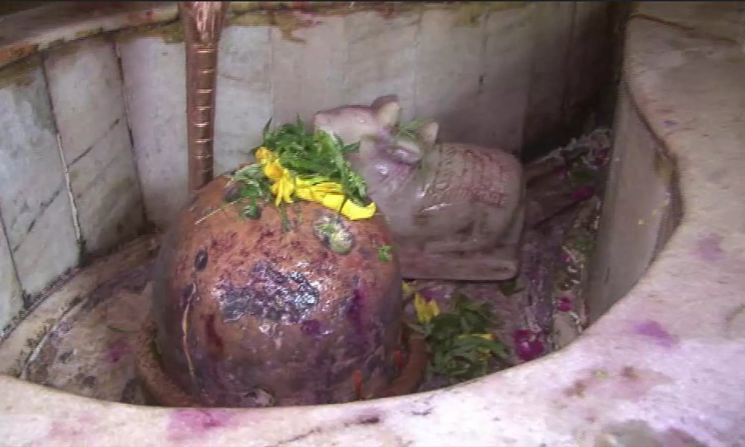 Bholenath, who was a waste, the British had opened fire on the Shivling of the temple.