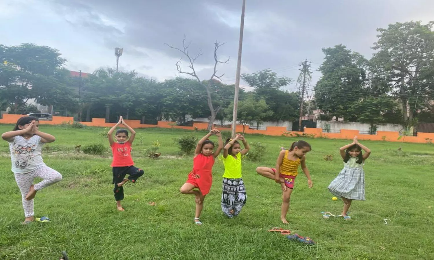 Children do yoga in park