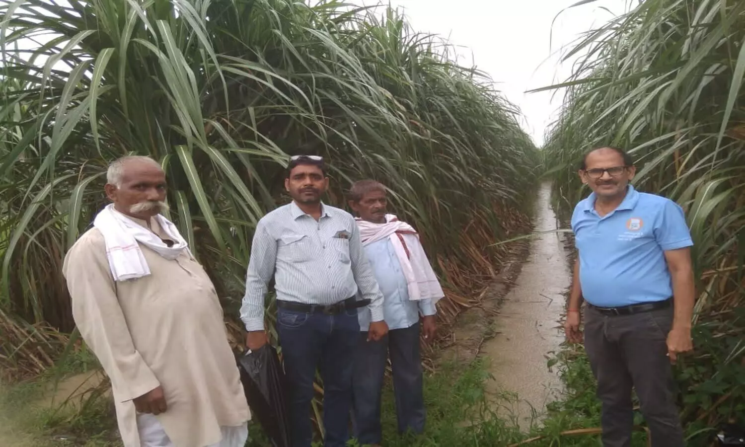 Farmer with sugarcane chief manager