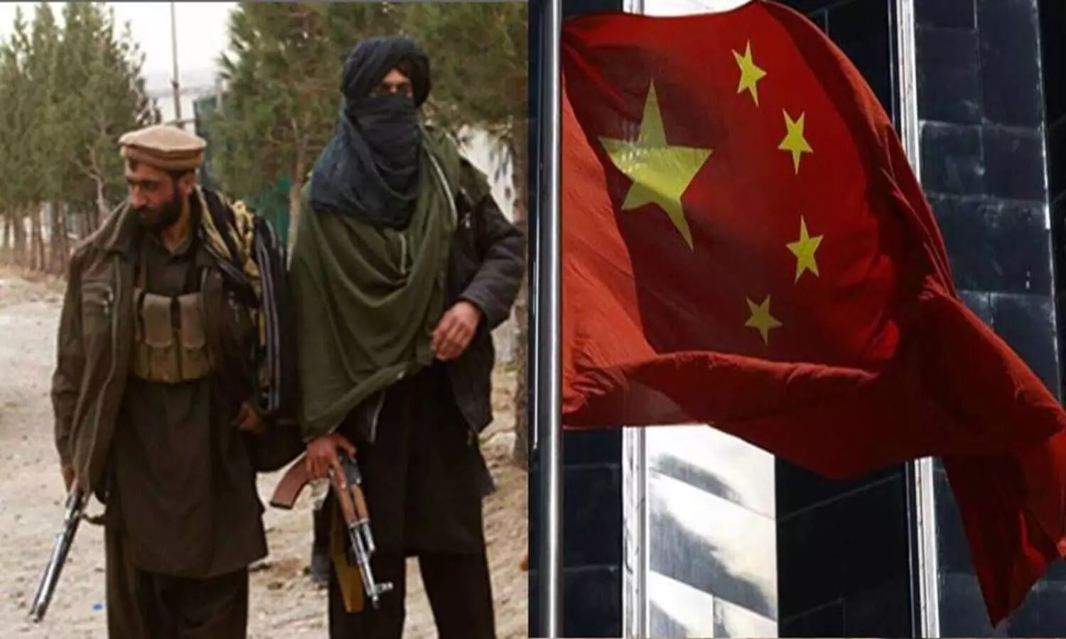 china would support taliban if they make government