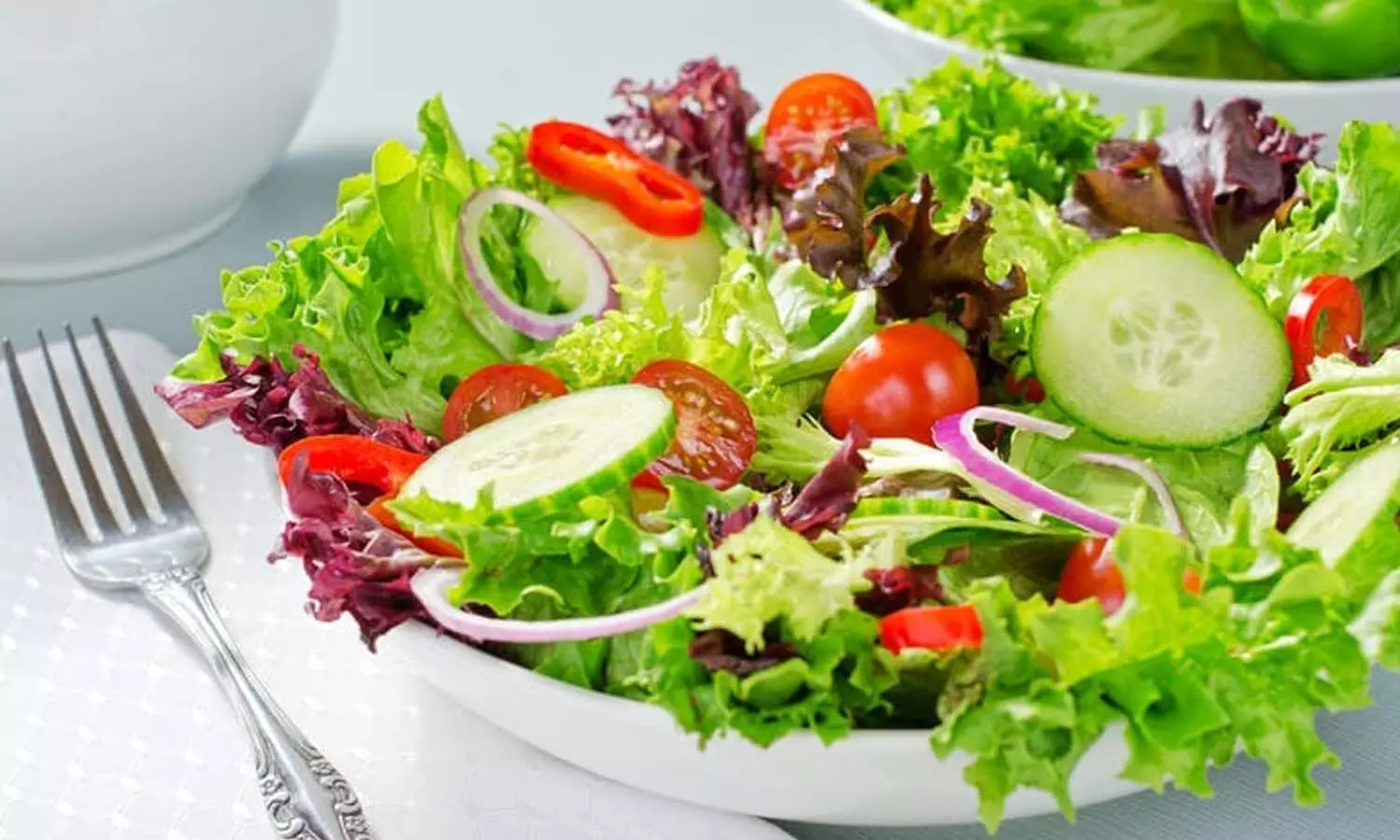 Health Benefits Of Vegetarian Diet: शाकाहारी भोजन के फायदे हैं अनेक, हेल्दी लाइफ के लिए बहुत जरूरी