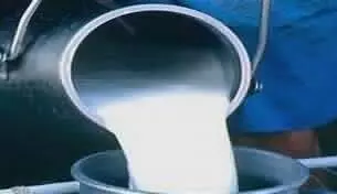 Milk production increased in Uttar Pradesh