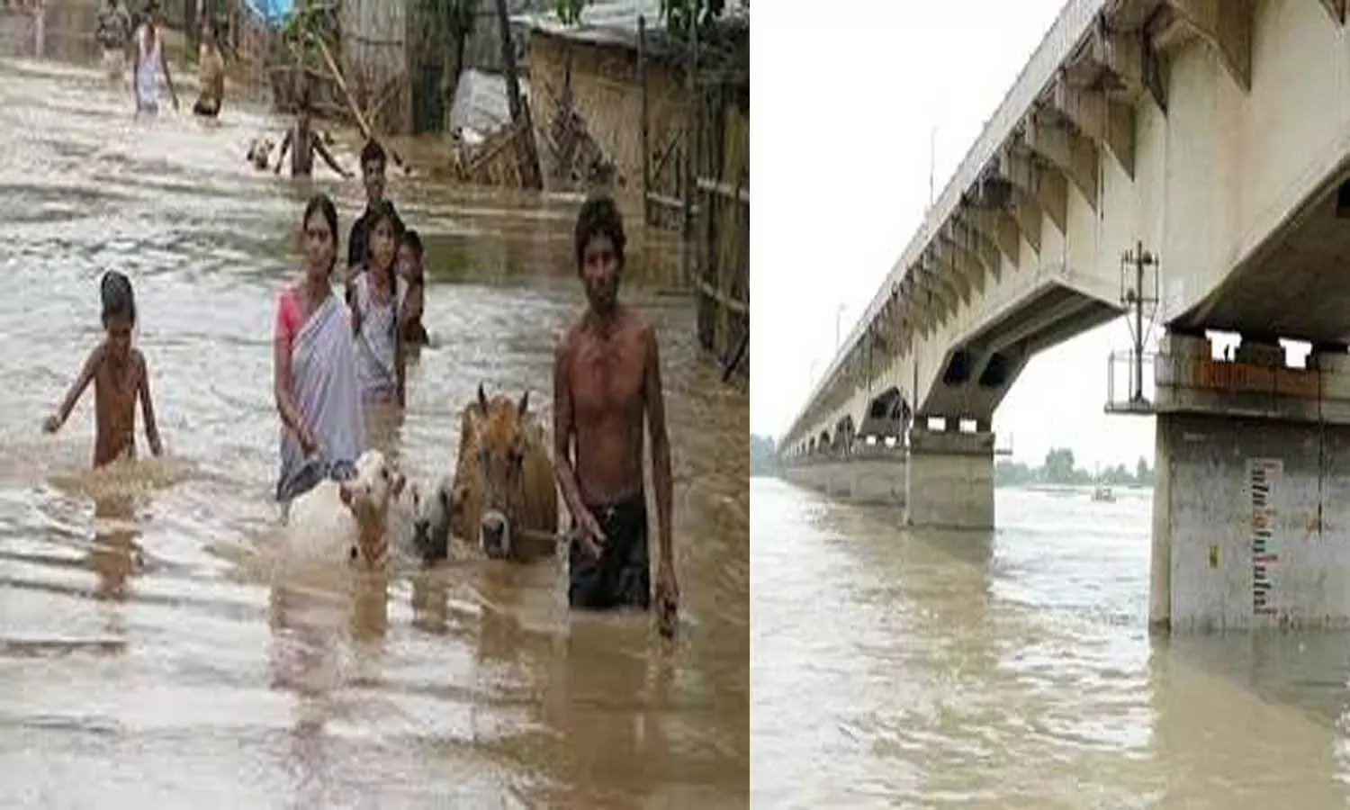 Ganga Ghaghra Sharda is flowing above danger mark in Uttar Pradesh