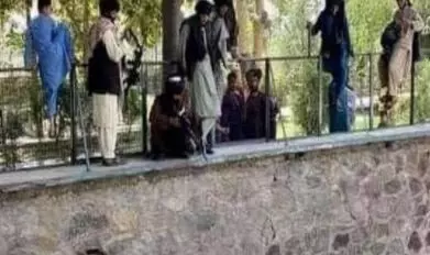 Afghanistan On Taliban: Photo viral of Taliban fighter pointing his gun at a bear in zoo goes