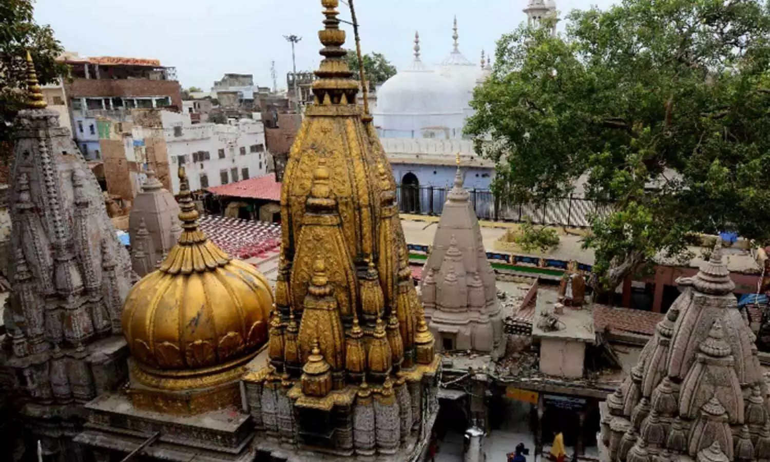 Varanasi News: काशी विश्वनाथ मंदिर के लिए खास है 9 सितंबर का दिन, हाईकोर्ट सुनाएगा अहम फैसला