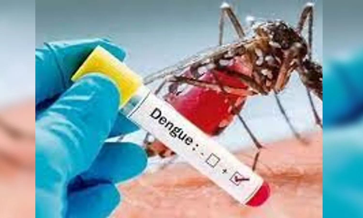 Lucknow News: अक्टूबर माह में मिले अब तक 193 नये डेंगू मरीज़, टुडियागंज CHC के बगल जमा है कूड़ा, गन्दी हैं नालियां