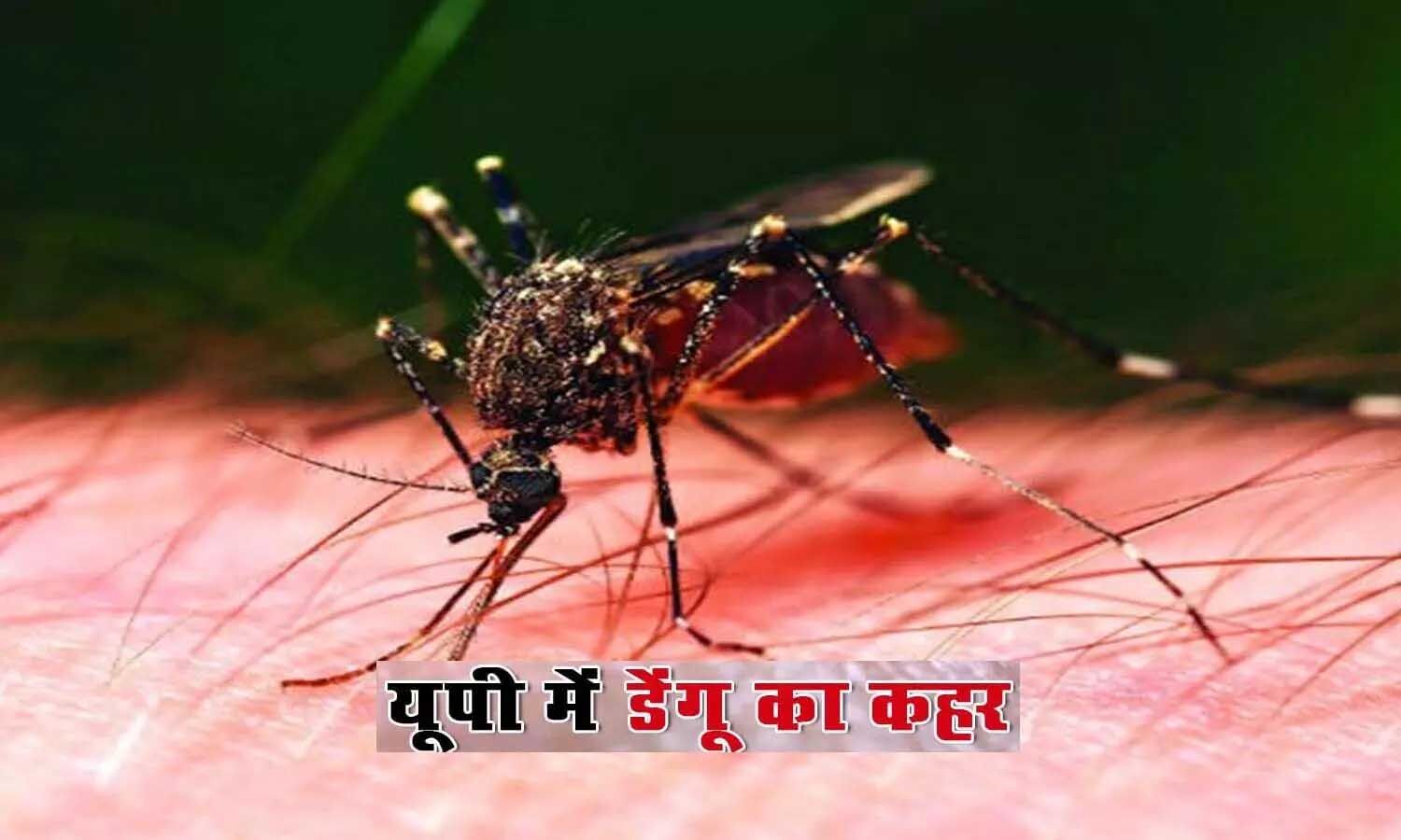 Dengue in UP: Orgy of dengue and high fever, daily deaths, scrub typhus and Japanese encephalitis patients were also found in the entire state.  1 News Track English