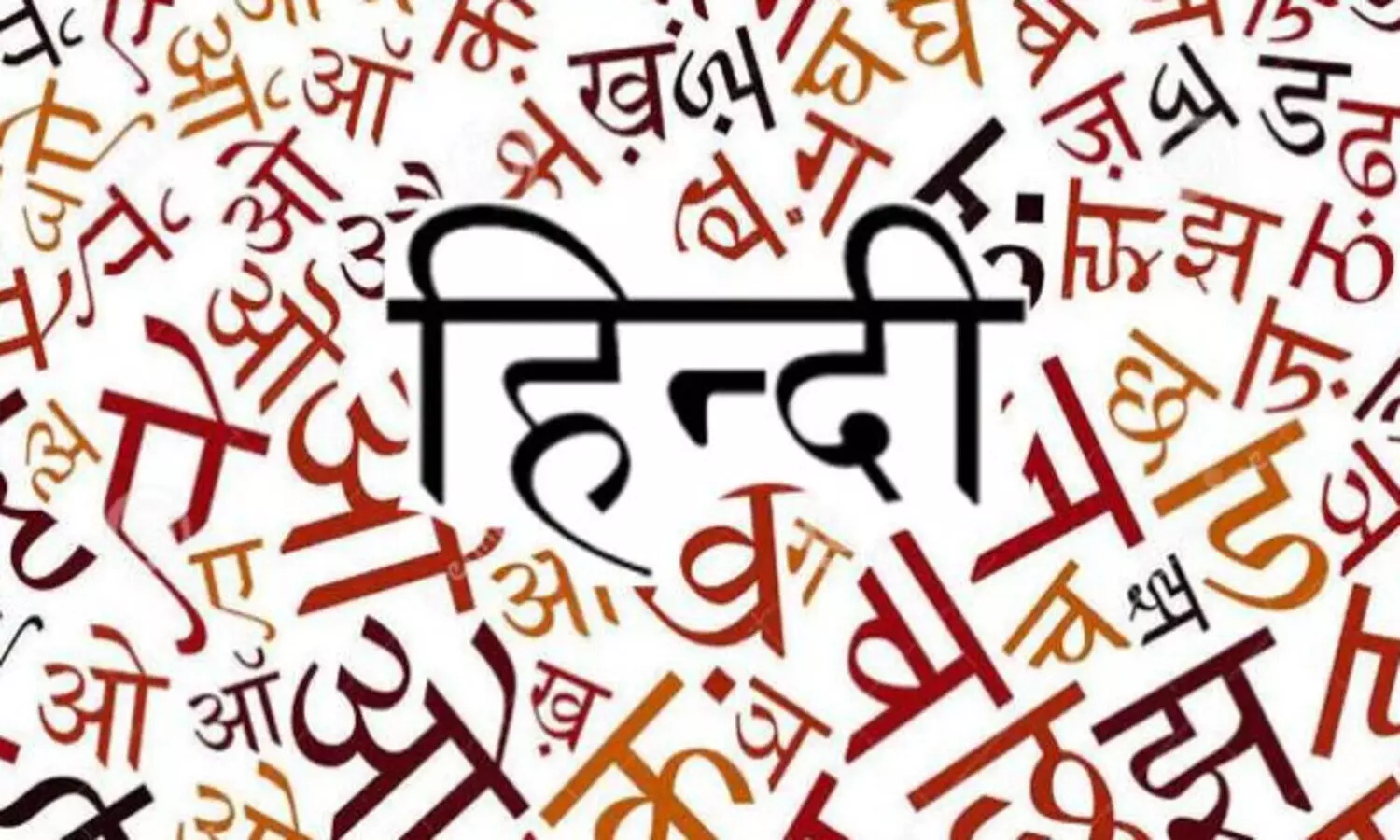 International Language Hindi