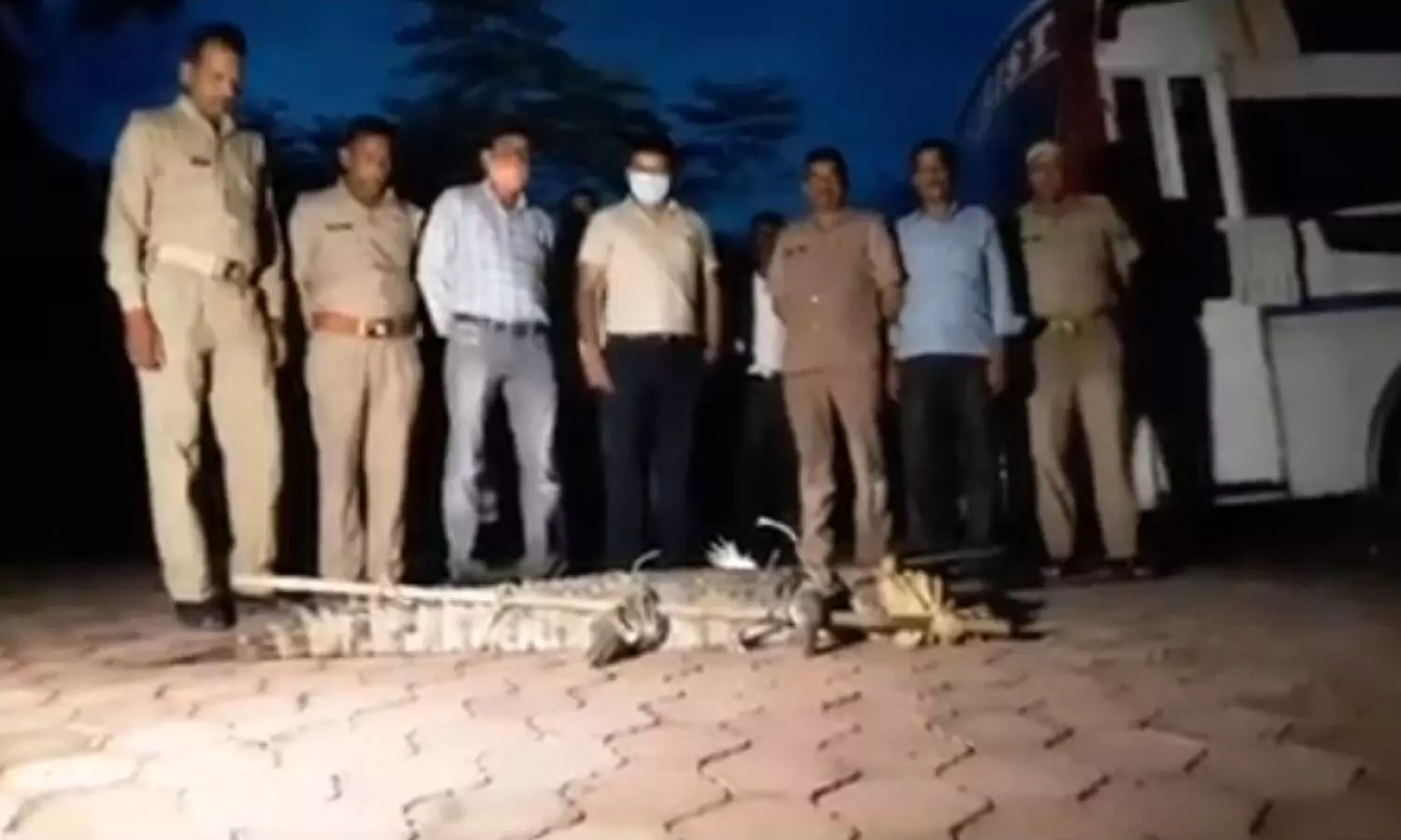 Up Forest department caught Crocodile