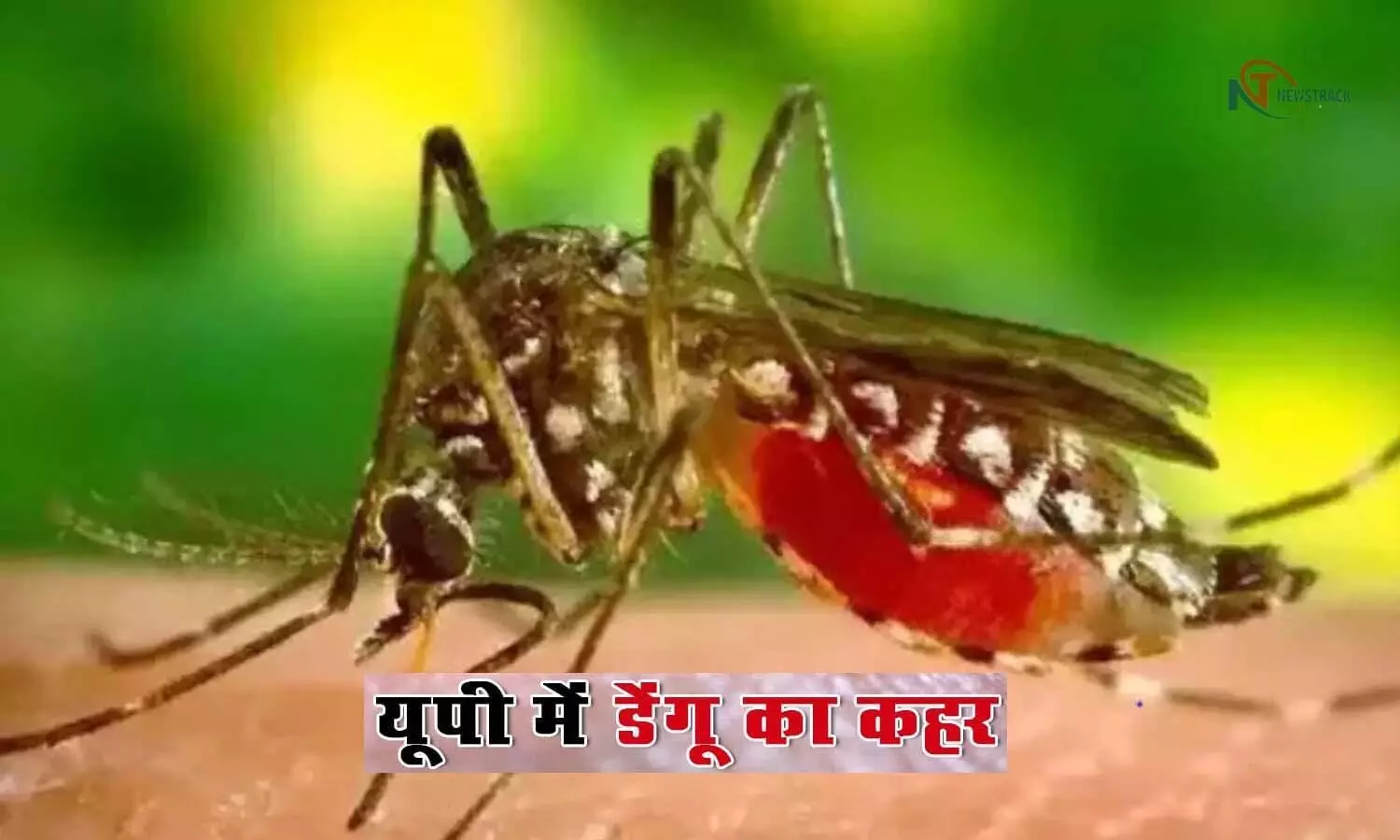 फिरोजाबाद में तेजी से फैला डेंगू वायरल बुखार