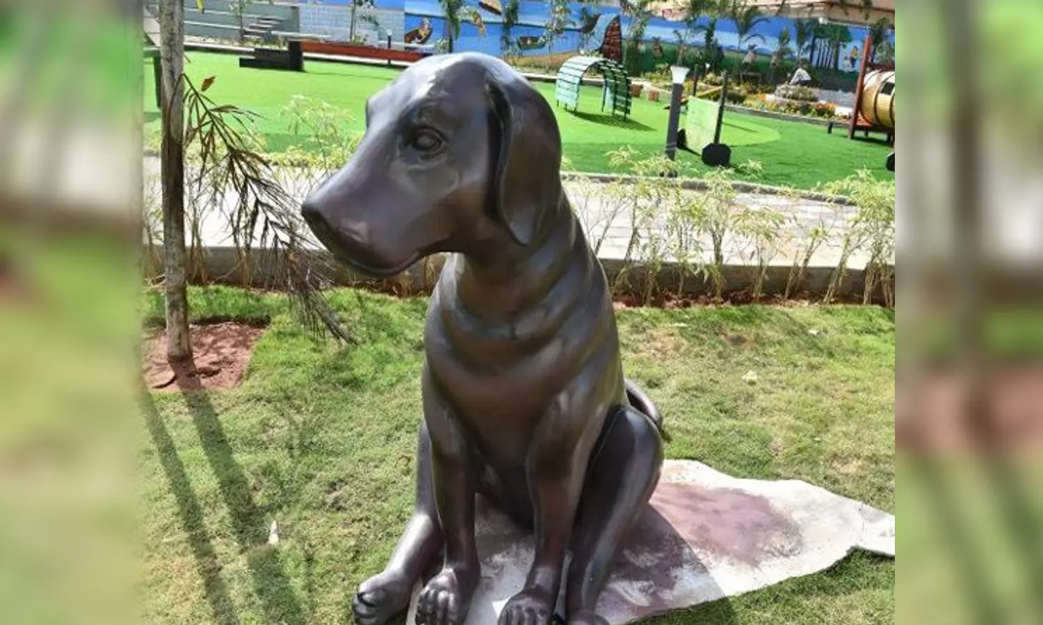 Dog park tender Noida
