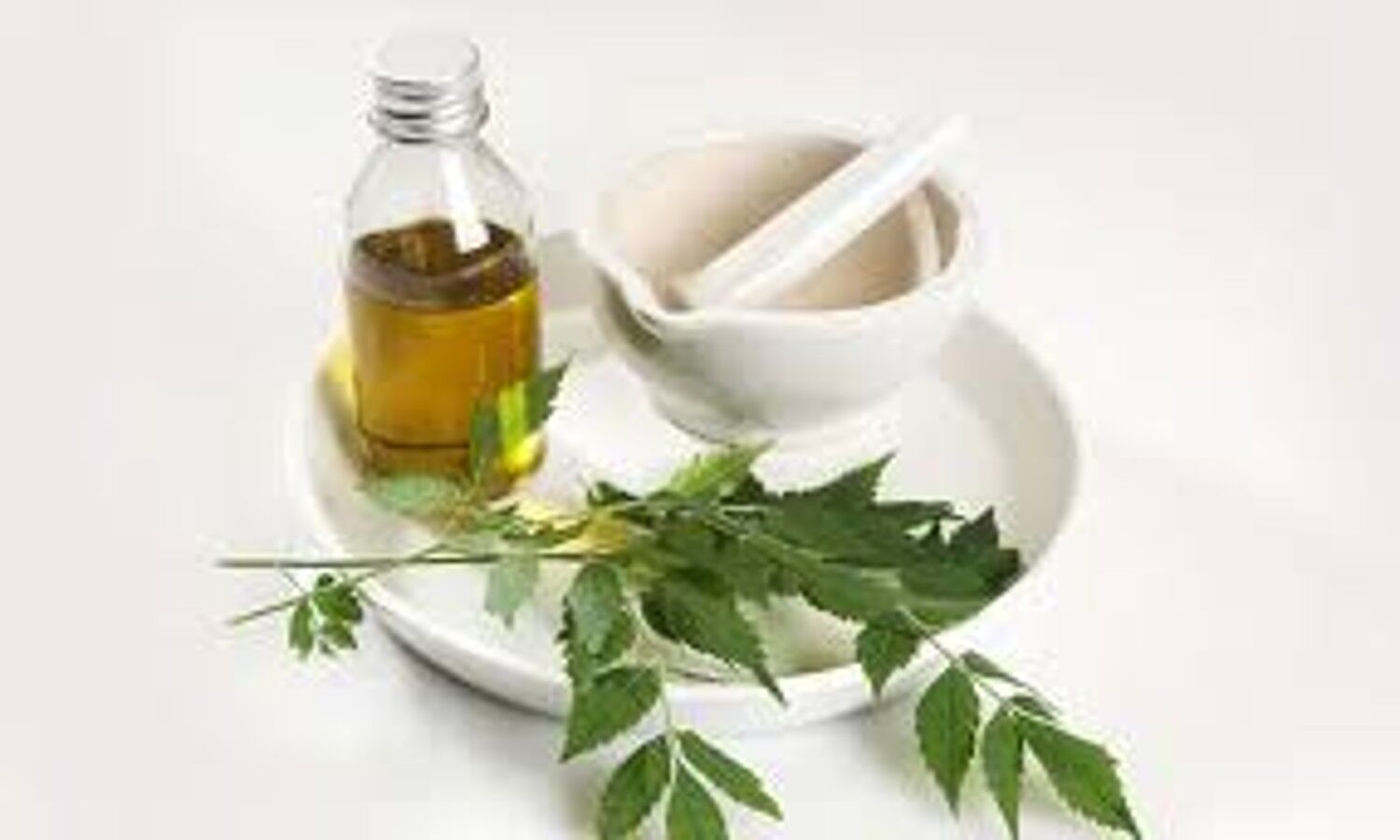 Neem Ke Tel Ke Fayde: Neem oil is miraculous, know its benefits and how to make it at home.  1 News Track English