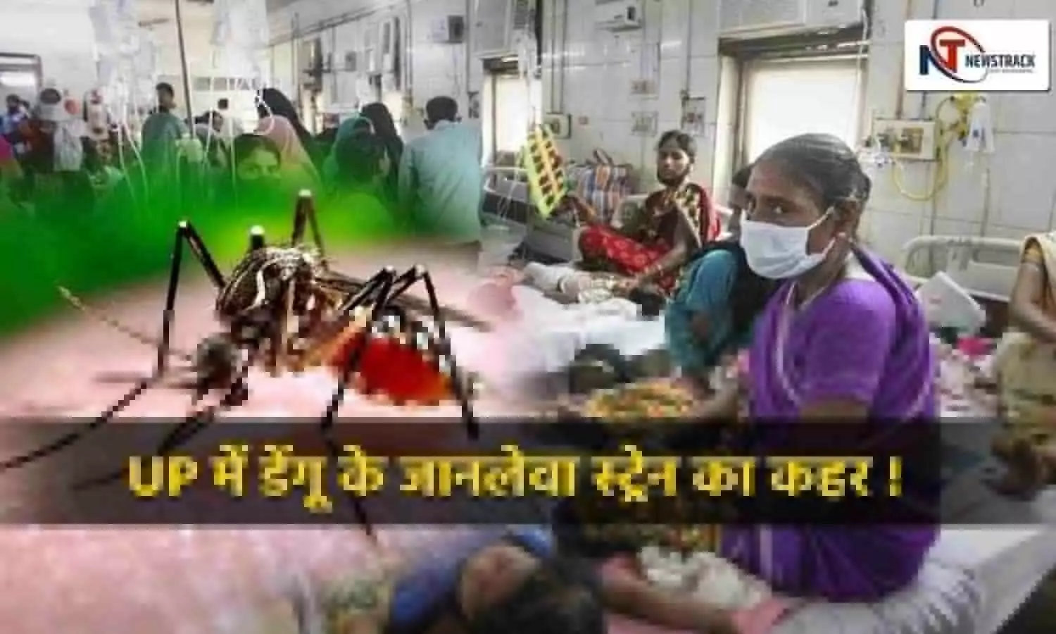 number of dengue patients is not stopping in Lucknow