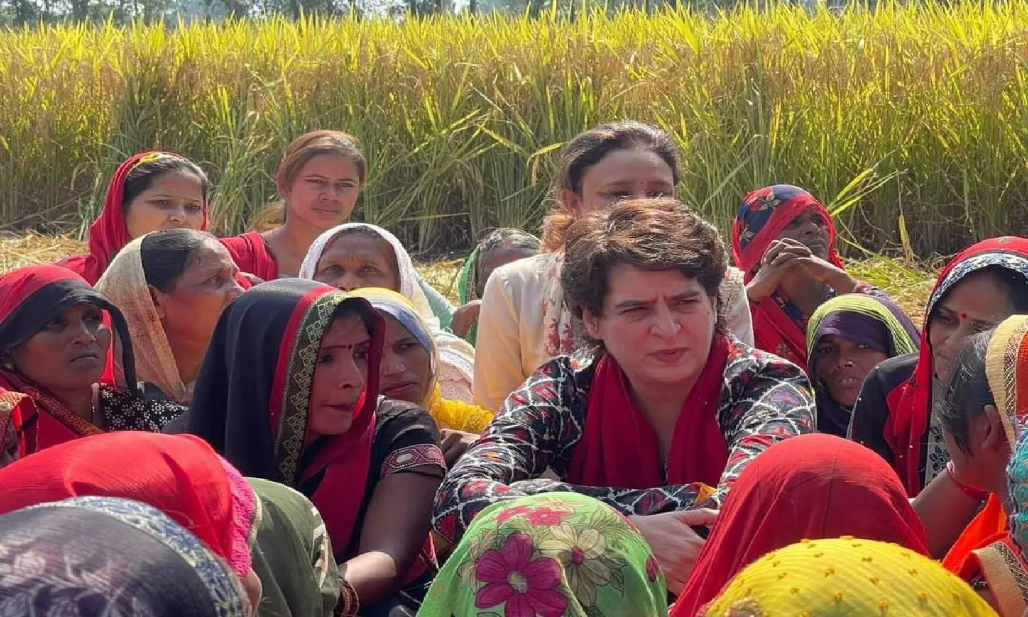 खेत में Priyanka Gandhi का लंच, खाईं जलेबी, सात प्रतिज्ञाओं से किया बाराबंकी में प्रतिज्ञा यात्रा का आगाज