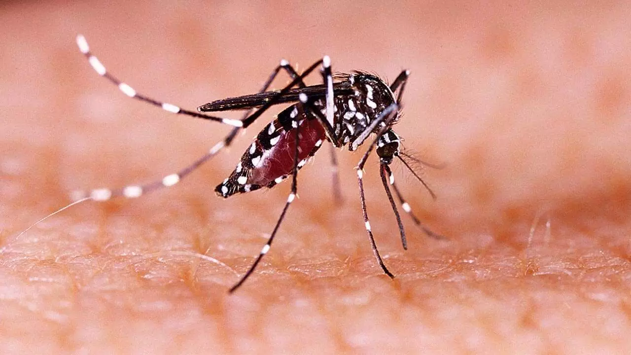 First patient of Zika virus spread in Kanpur