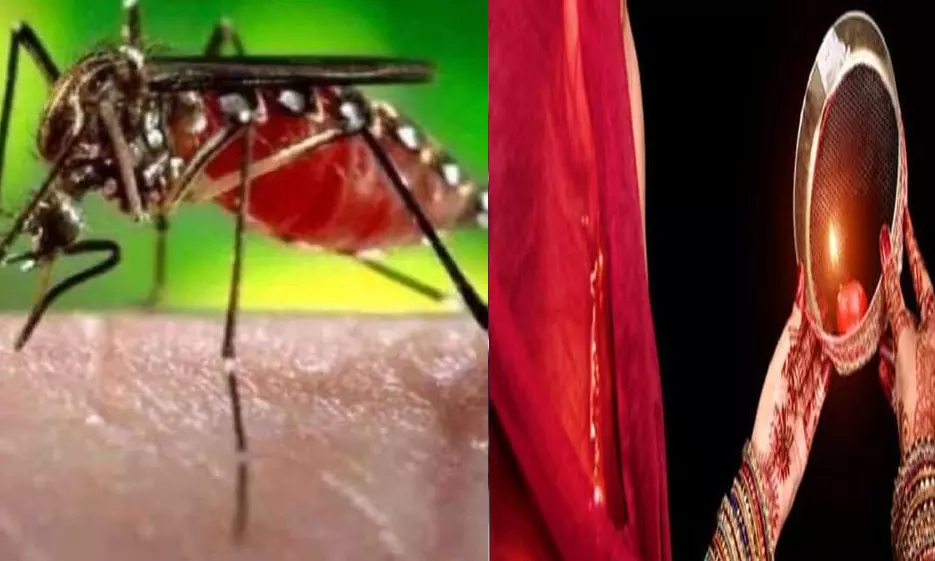 UP में नहीं थम रहा डेंगू का प्रकोप, ब्रज क्षेत्र में 17 की गई जान, फिरोजाबाद में अब तक 182 की मौत