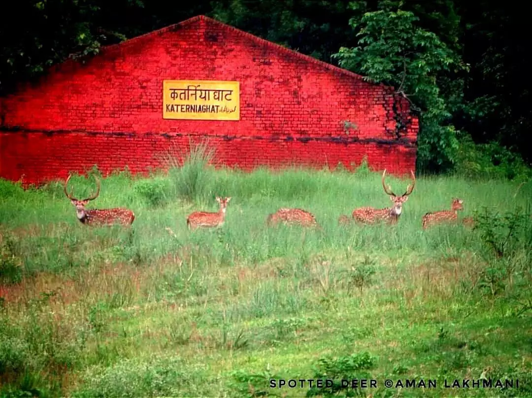 Katarniaghat Tiger Reserve will open from November 15