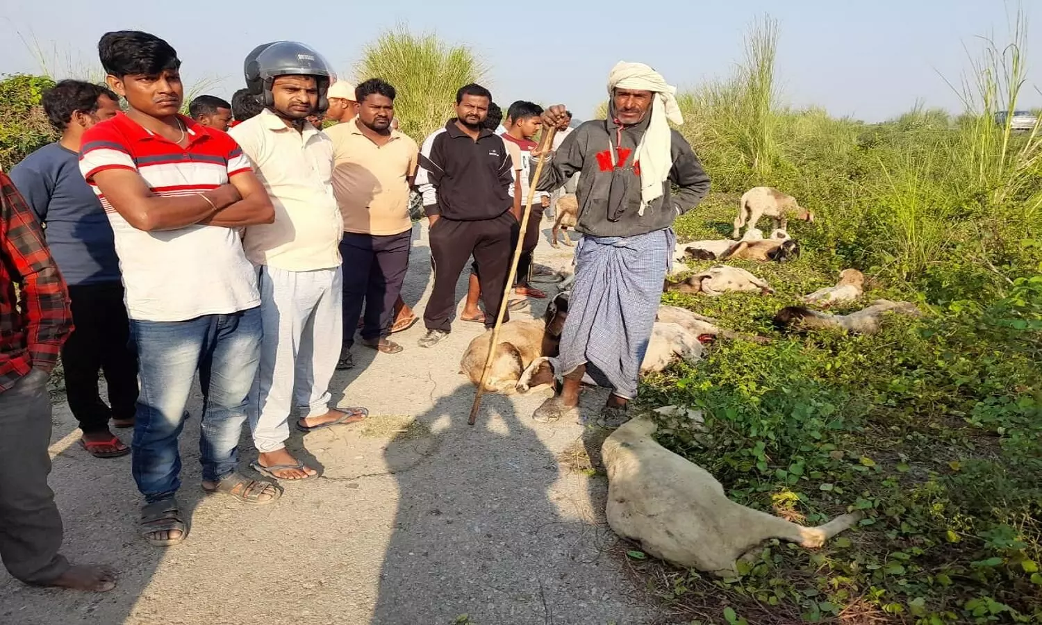 अज्ञात वाहन ने दो चरवाहों सहित 80 भेड़ो को रौद कर मार डाला