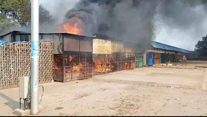 Etawah News: जल कर राख हुई आधा दर्जन से अधिक दुकाने, दमकल विभाग ने कड़ी मशक्कत से पाया काबू