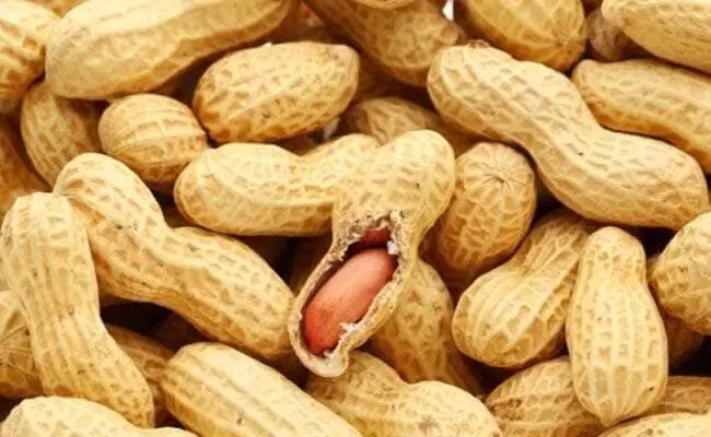 Beauty Benefits of Peanuts