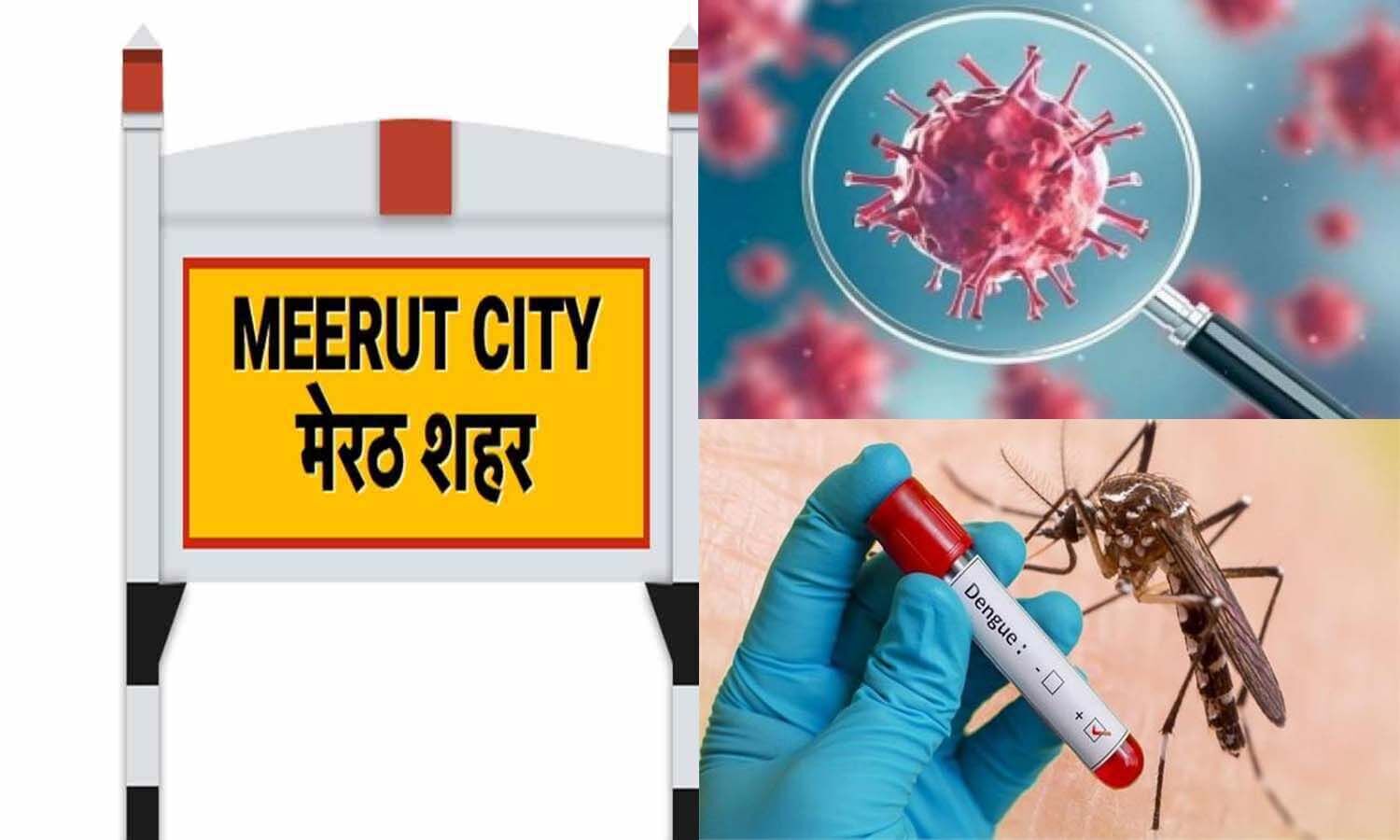 Meerut News: After Corona, now dengue is also sluggish, today 8 new cases, not a single corona case.  1 News Track English