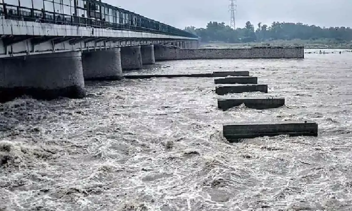 Children Drowned in Yamuna River