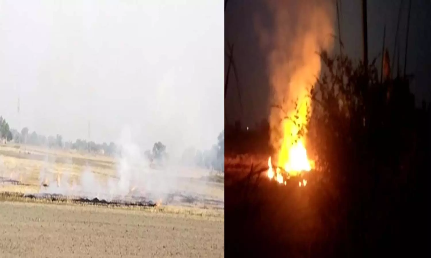 Fatehpur News: Despite the ban, farmers are burning stubble in the fields, increasing pollution